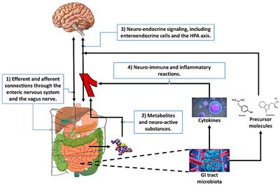 Gastrointestinal tract-based implicit measures for cognition, emotion and behavior